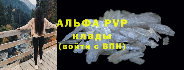 прущие грибы Инта