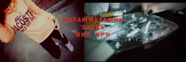 гидра Каменка