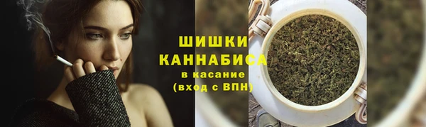 гидра Каменка