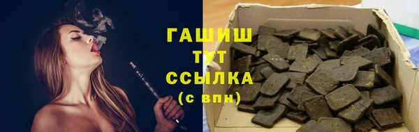 прущие грибы Инта