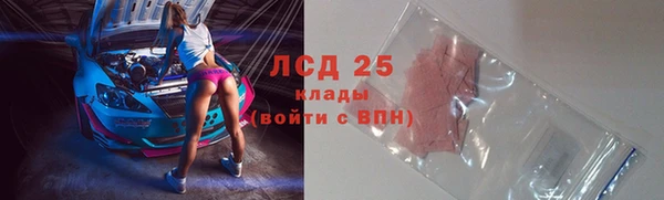гидра Каменка