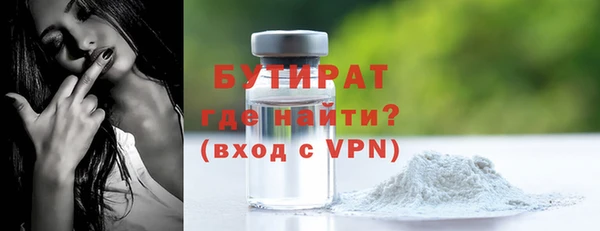 гидра Каменка