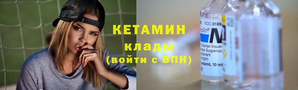 гидра Каменка