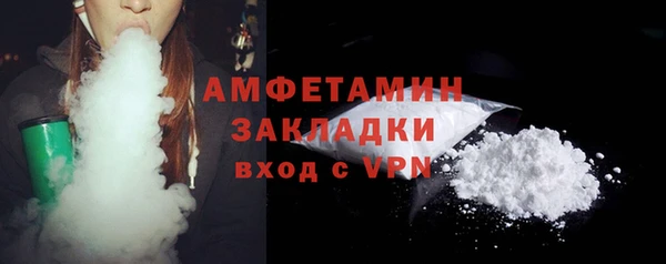 прущие грибы Инта