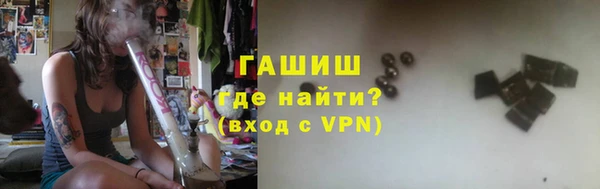 прущие грибы Инта