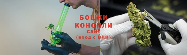 молекула духа Каменск-Шахтинский