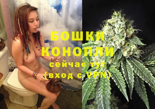 гидра Каменка