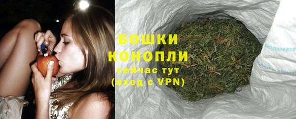 гидра Каменка