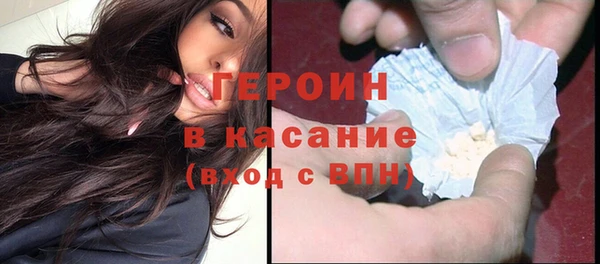 гидра Каменка
