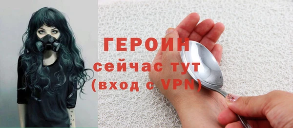 прущие грибы Инта