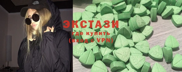 гидра Каменка