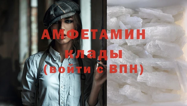 прущие грибы Инта